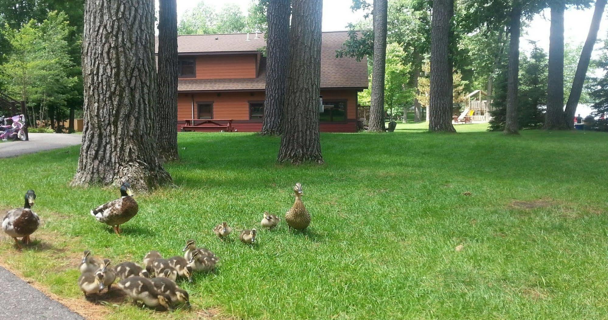Nisswa Good Ol Days Resort מראה חיצוני תמונה